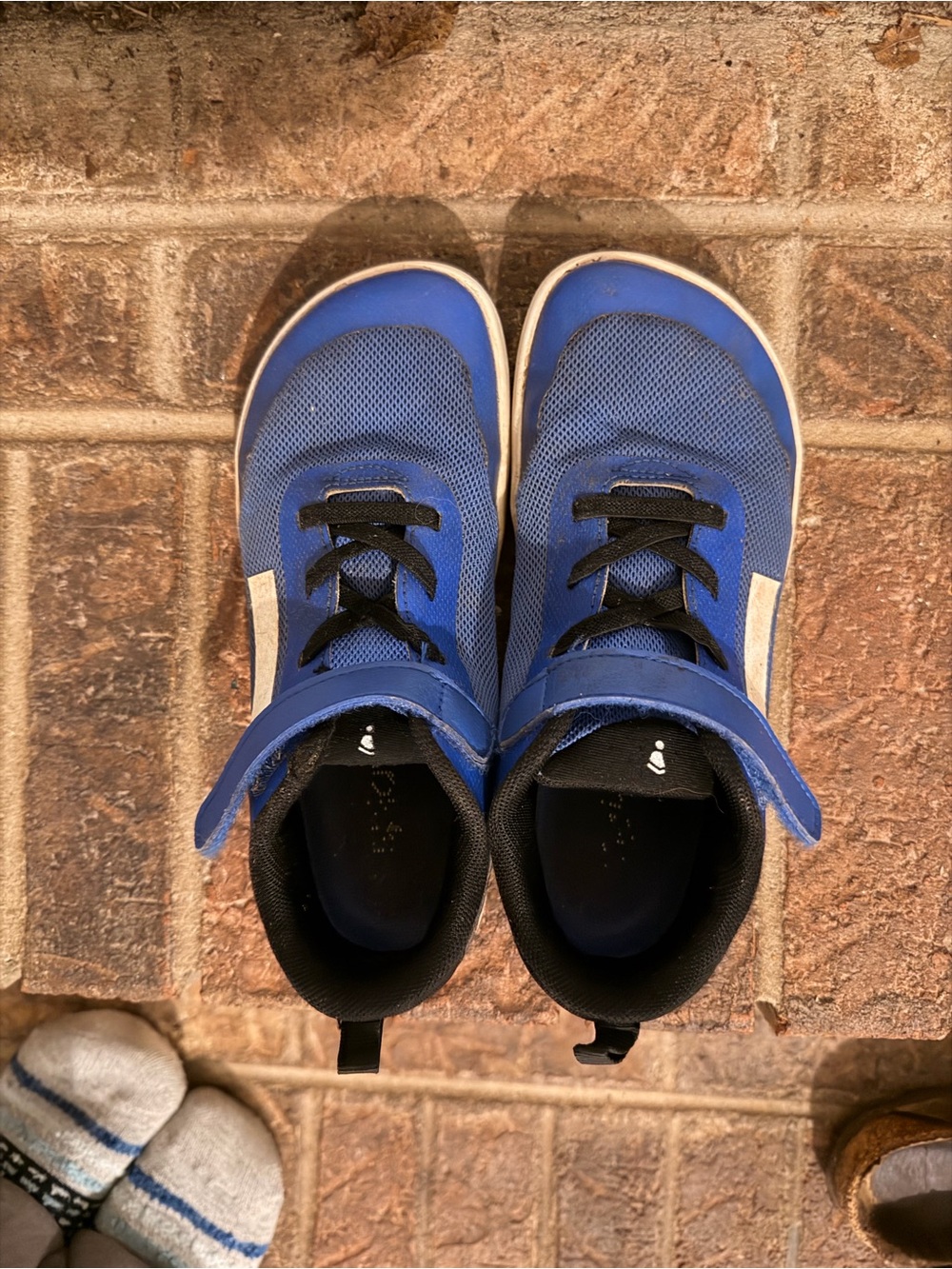 Splay Dash True Blue